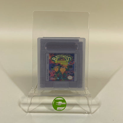 Battletoads in Ragnarok's World (Nintendo GameBoy, 1993)