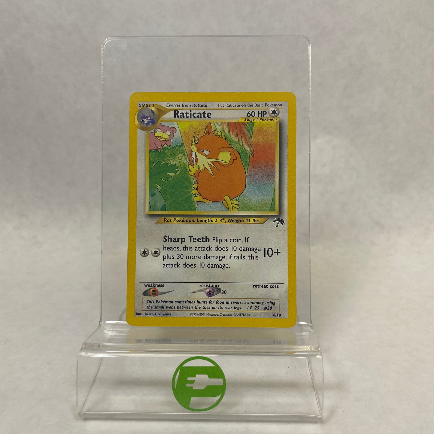 Pokémon TCG Southern Islands Raticate 6/18 Regular English