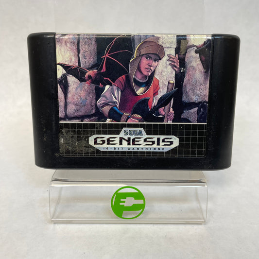 Fatal Labyrinth (Sega Genesis, 1990)