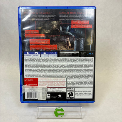 Blair Witch (Sony PlayStation 4 PS4, 2020)